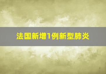 法国新增1例新型肺炎