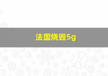 法国烧毁5g