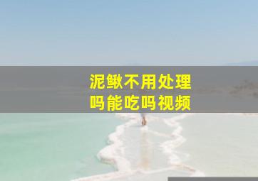 泥鳅不用处理吗能吃吗视频