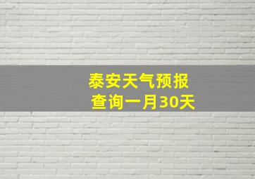 泰安天气预报查询一月30天