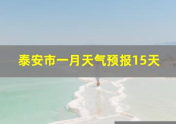 泰安市一月天气预报15天