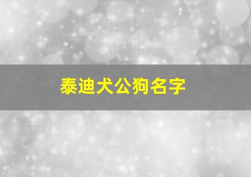 泰迪犬公狗名字