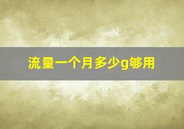 流量一个月多少g够用