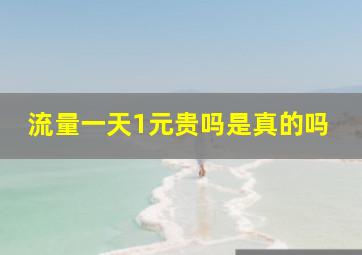 流量一天1元贵吗是真的吗