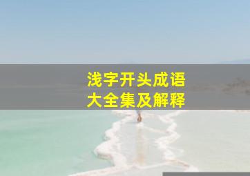 浅字开头成语大全集及解释