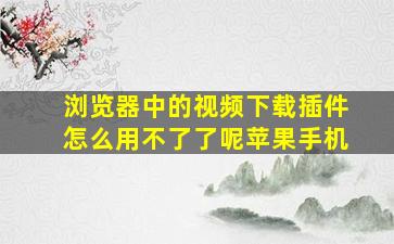 浏览器中的视频下载插件怎么用不了了呢苹果手机