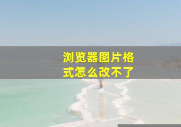 浏览器图片格式怎么改不了