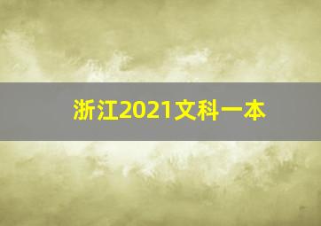 浙江2021文科一本