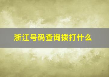 浙江号码查询拨打什么