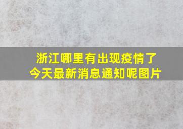 浙江哪里有出现疫情了今天最新消息通知呢图片