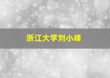 浙江大学刘小峰