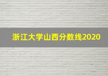 浙江大学山西分数线2020