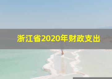 浙江省2020年财政支出