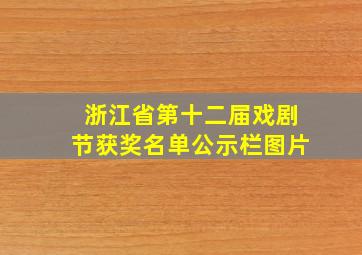 浙江省第十二届戏剧节获奖名单公示栏图片