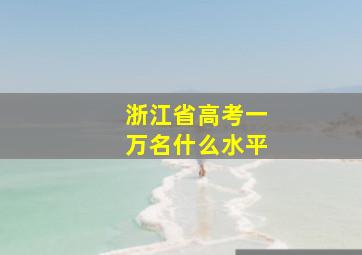 浙江省高考一万名什么水平