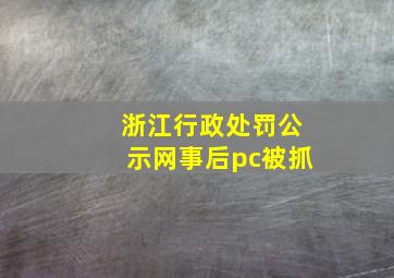 浙江行政处罚公示网事后pc被抓