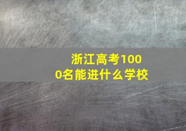 浙江高考1000名能进什么学校