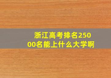 浙江高考排名25000名能上什么大学啊