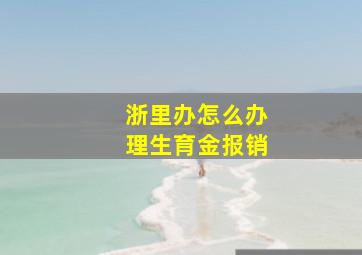 浙里办怎么办理生育金报销