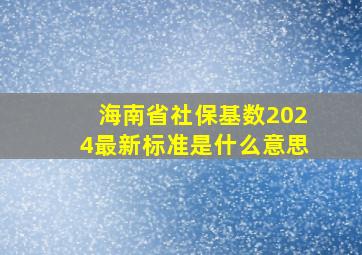 海南省社保基数2024最新标准是什么意思