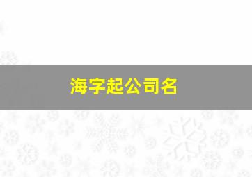 海字起公司名