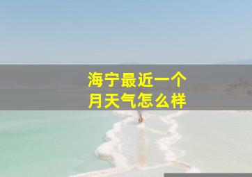 海宁最近一个月天气怎么样