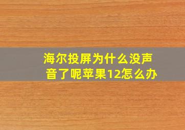 海尔投屏为什么没声音了呢苹果12怎么办