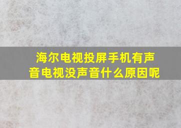 海尔电视投屏手机有声音电视没声音什么原因呢