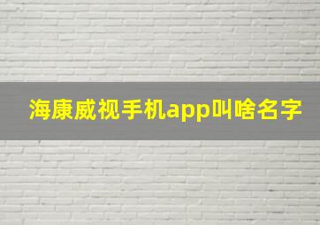 海康威视手机app叫啥名字