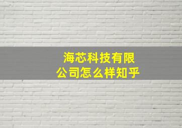 海芯科技有限公司怎么样知乎