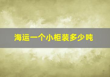 海运一个小柜装多少吨