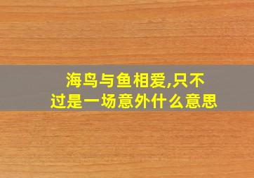 海鸟与鱼相爱,只不过是一场意外什么意思