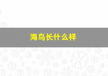 海鸟长什么样