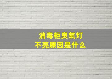 消毒柜臭氧灯不亮原因是什么