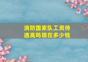 消防国家队工资待遇高吗现在多少钱