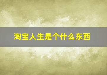 淘宝人生是个什么东西