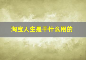 淘宝人生是干什么用的