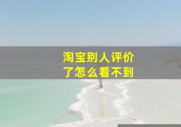 淘宝别人评价了怎么看不到