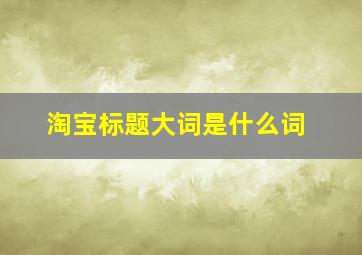 淘宝标题大词是什么词