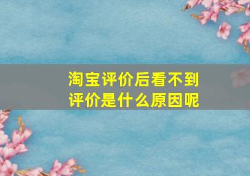 淘宝评价后看不到评价是什么原因呢