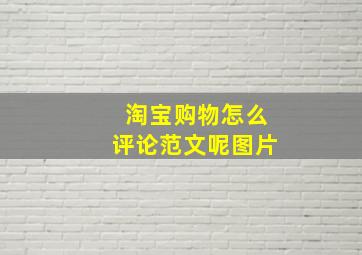 淘宝购物怎么评论范文呢图片