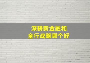 深耕新金融和全行战略哪个好