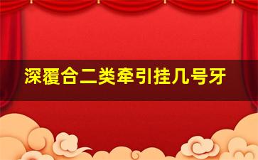 深覆合二类牵引挂几号牙