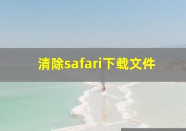 清除safari下载文件