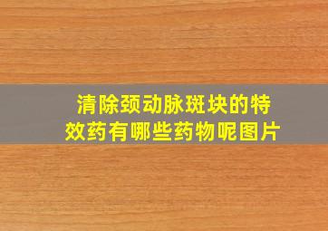 清除颈动脉斑块的特效药有哪些药物呢图片