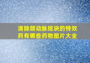 清除颈动脉斑块的特效药有哪些药物图片大全