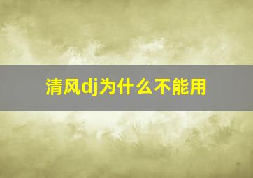 清风dj为什么不能用