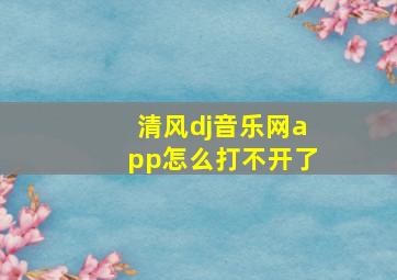 清风dj音乐网app怎么打不开了