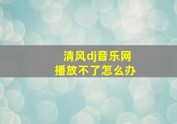 清风dj音乐网播放不了怎么办