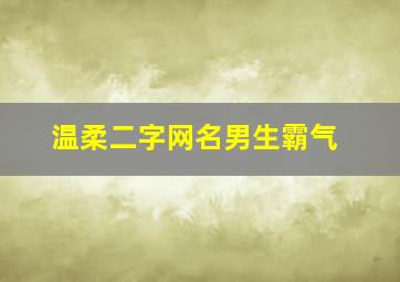 温柔二字网名男生霸气